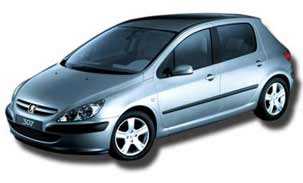  Peugeot-307-DPF-Removal